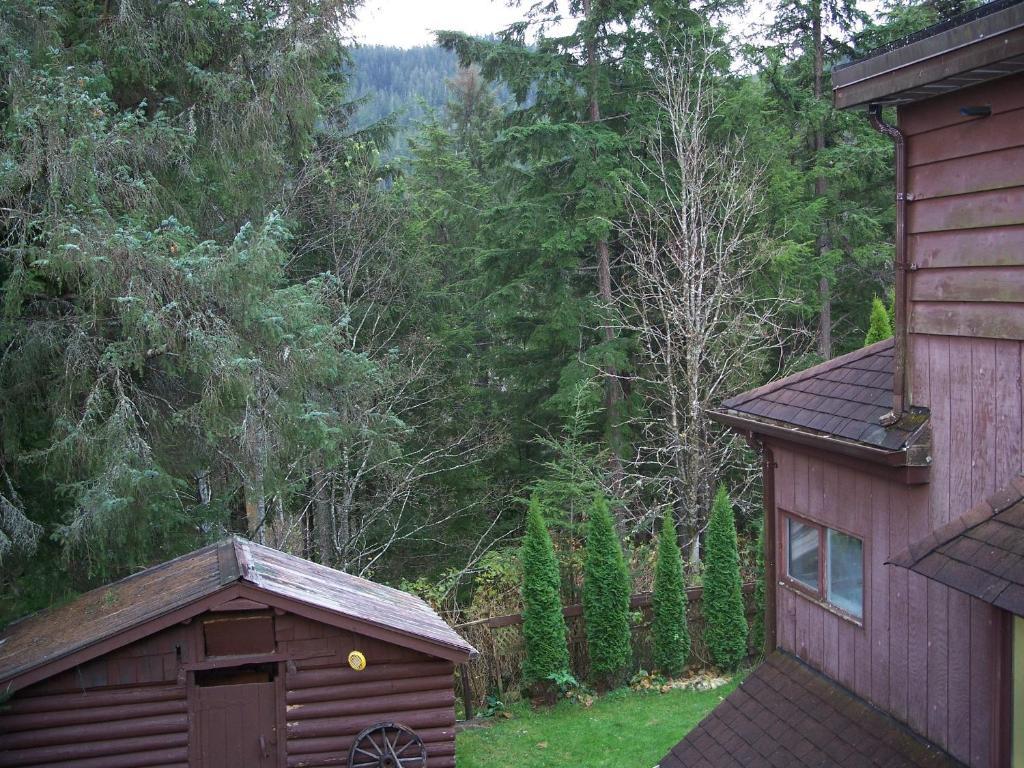 Tall Trees Bed & Breakfast Bed and Breakfast Prince Rupert Camera foto